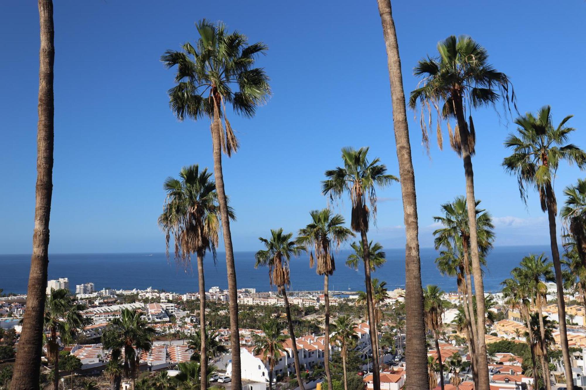 Azure Sky - Panoramic Ocean View, Luxury, San Eugenio